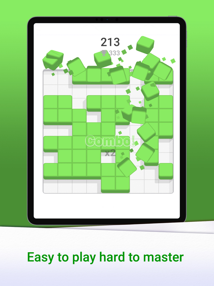 Block Brain Puzzle