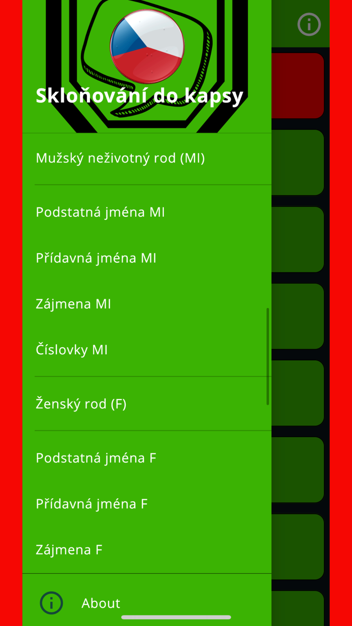 Чешские склонения в кармане