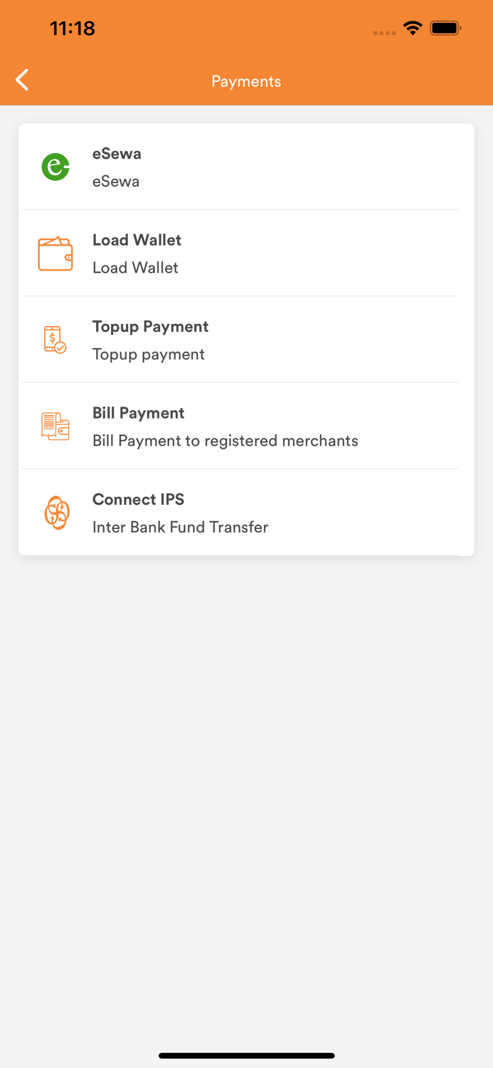 Laxmi Laghubitta-Mobile Paisa