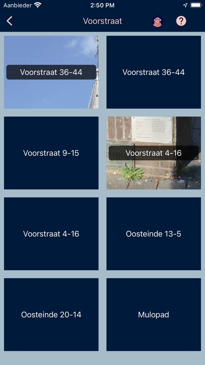 Save the City Hardenberg