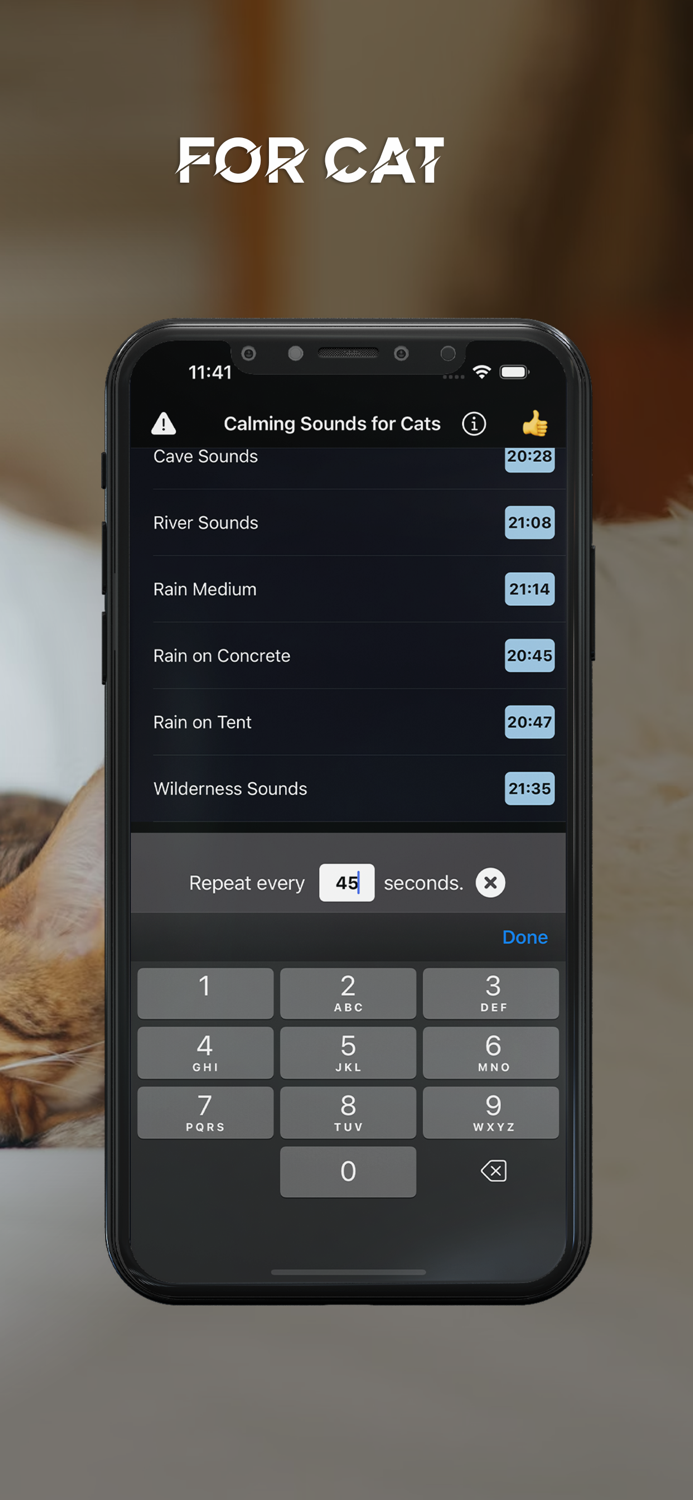 Calming Sound for Cats