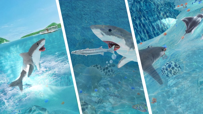 Hungry Shark Attack Simulator