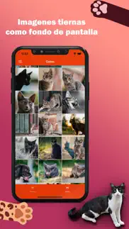 How to cancel & delete imagenes perros y gatos 1