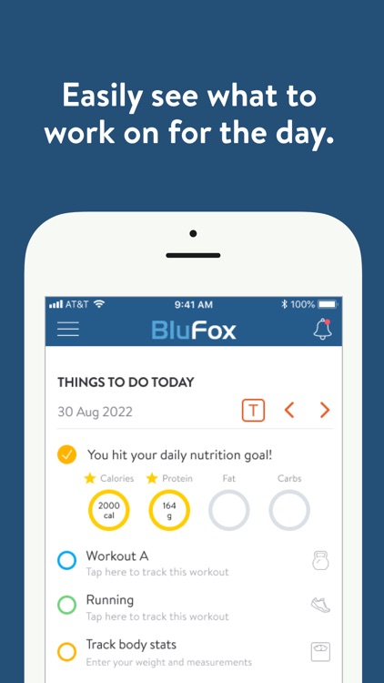 BluFox screenshot-3