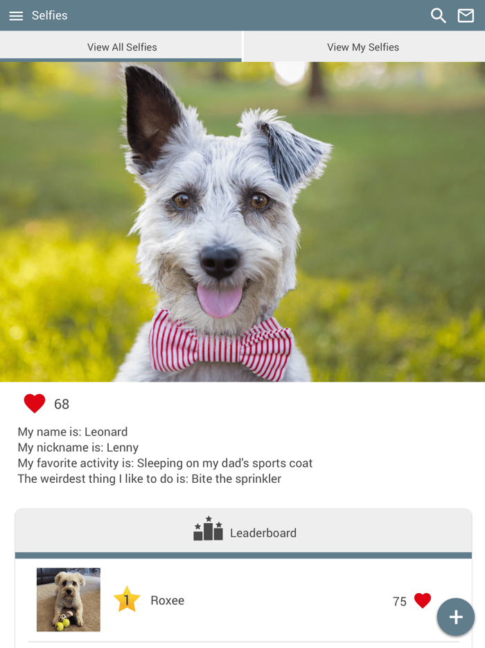 Mountain Aire Veterinary Hosp