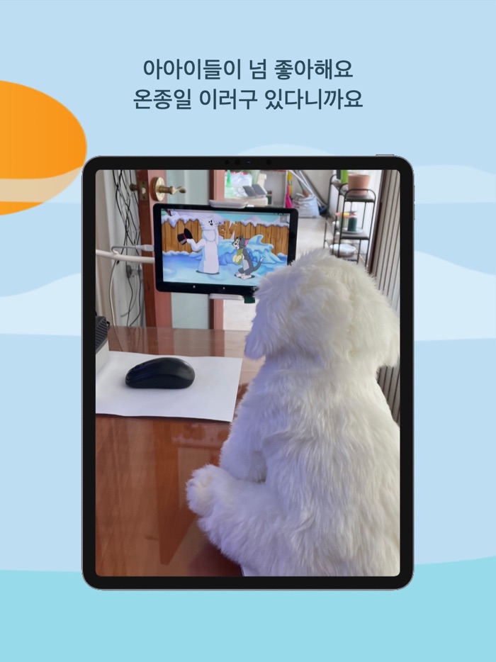 반즐 - 반려친구를 위한 동영상 CCTV