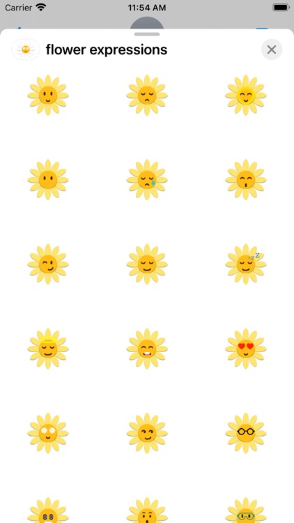flower expressions screenshot-4