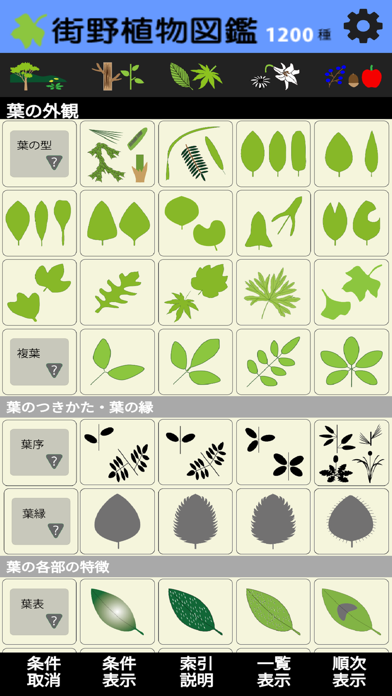 街野植物図鑑 screenshot1