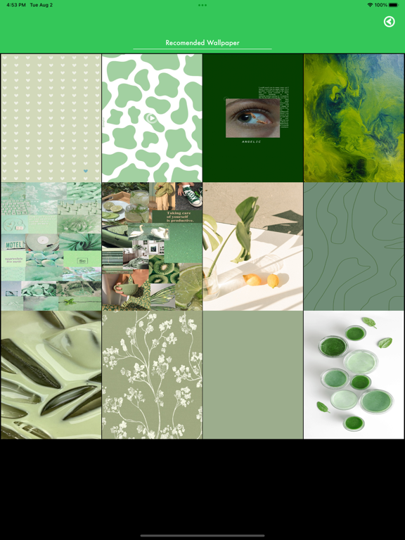 Sage Green Aesthetic Wallpaper screenshot 2