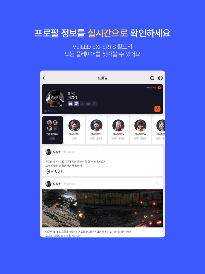 Veiled Experts Companion