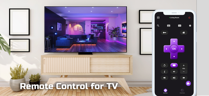 TV Remote Universal TV Remote