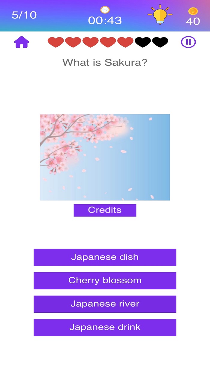 Japanese Quiz