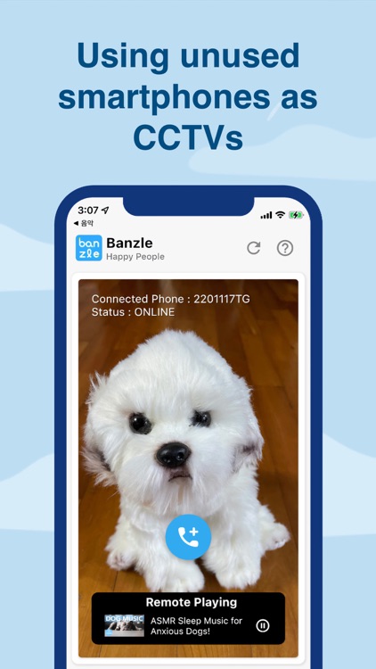 Banzle - Video Player for Pets