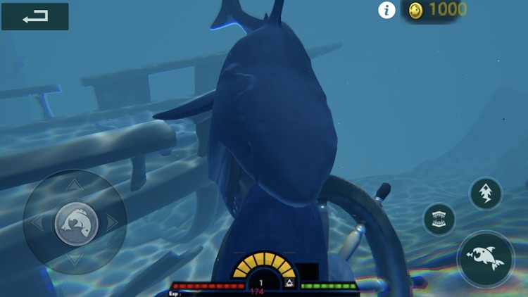 3D Fish Growing screenshot-4