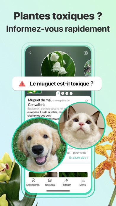PictureThis-Identifier Plantes PictureThis-Identifier Plantes