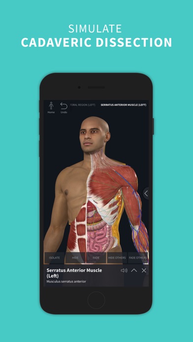 Complete Anatomy ‘23 screenshot 2