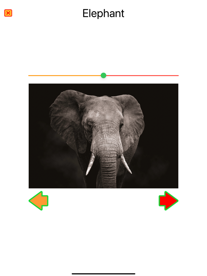 Animal Names and Sounds