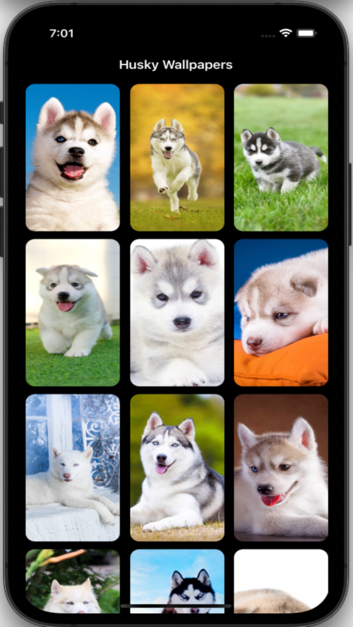 Husky Wallpapers HD Pro