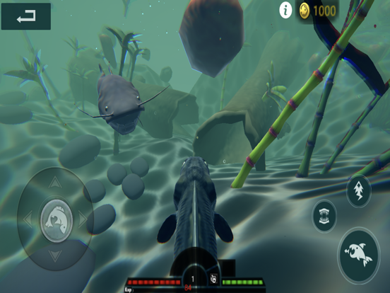 3D Fish Growing 3D Fish Growing