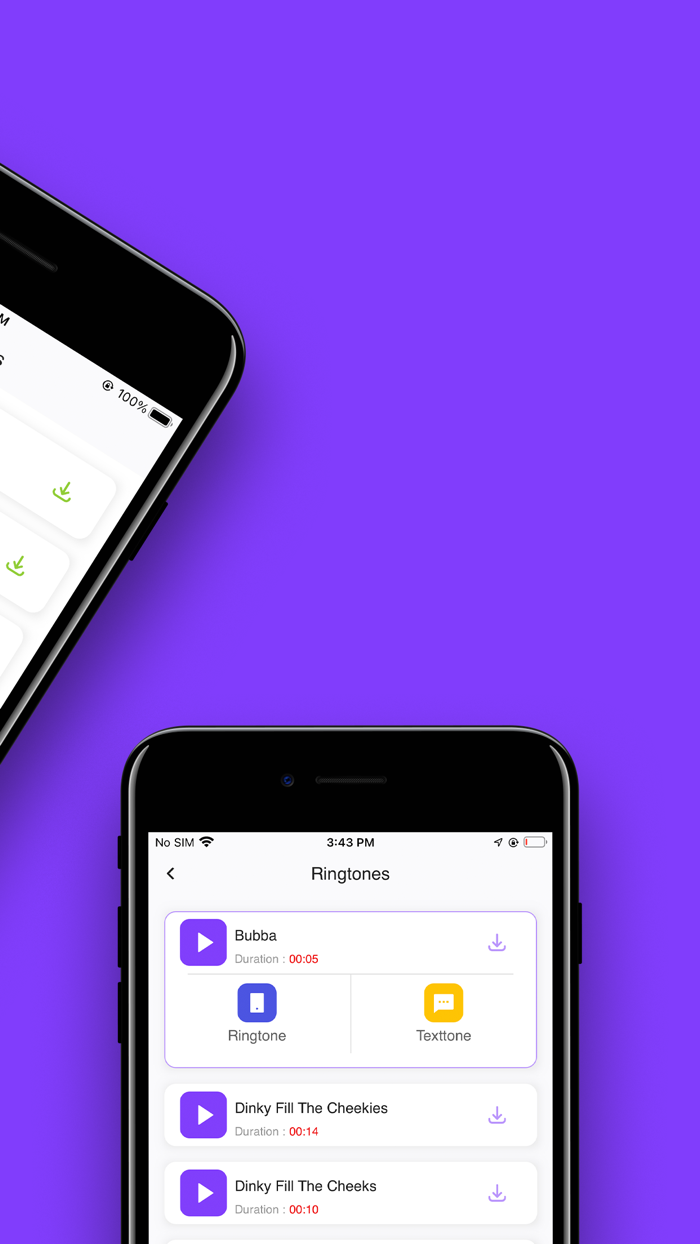 Brad and his Chipmunks