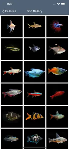 Captura de Pantalla 2 My Aquarium Guide iphone