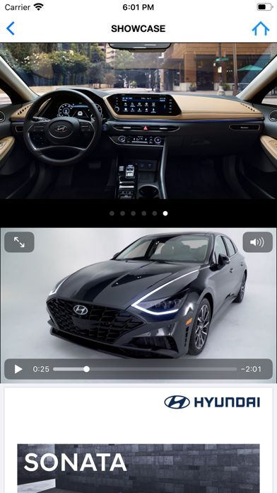 Hyundai Sonata screenshot 3