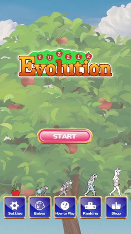 Puzzle Evolution