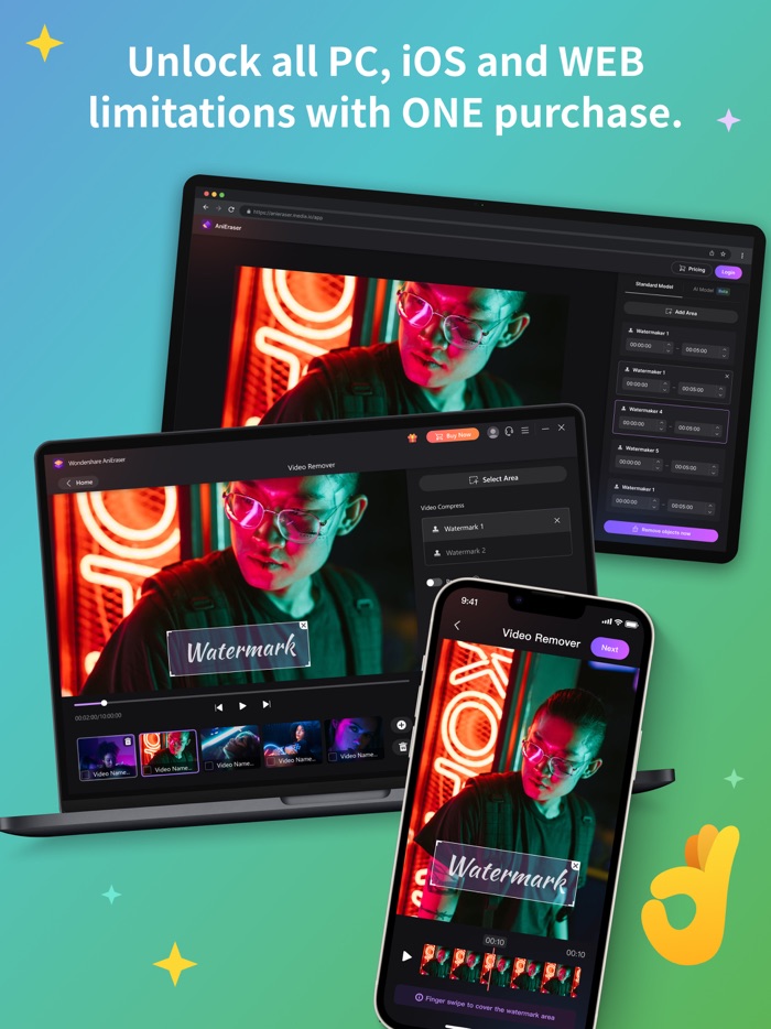 AniEraser - Object Removal