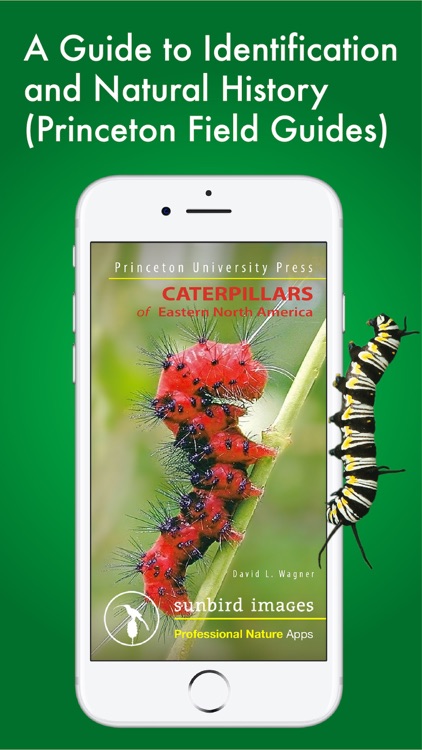 Caterpillar Id USA East Coast screenshot-0