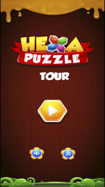 Hexa Block Puzzle Challenge screenshot-0