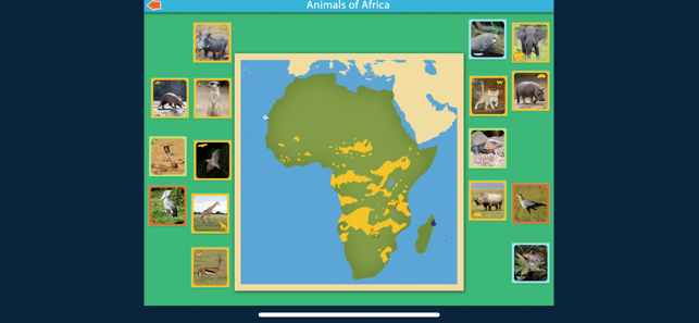 Montessori Animals of Africa(圖5)-速報App