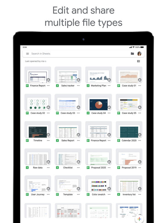Google Sheets iPad app afbeelding 4