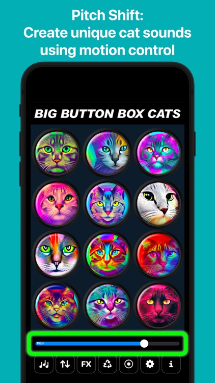 Big Button Box: Cat Sounds