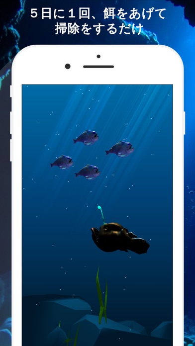 深海魚チョウチンアンコウの育成 Iphoneアプリ Applion