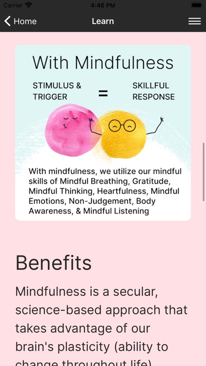 Mindful Life Project