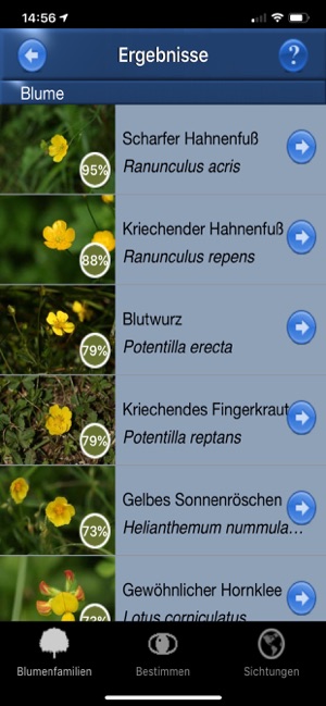 Blumen Id Automatik(圖3)-速報App