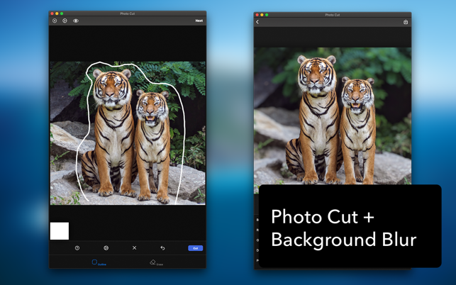 Photo Cut : Background Editor(圖4)-速報App