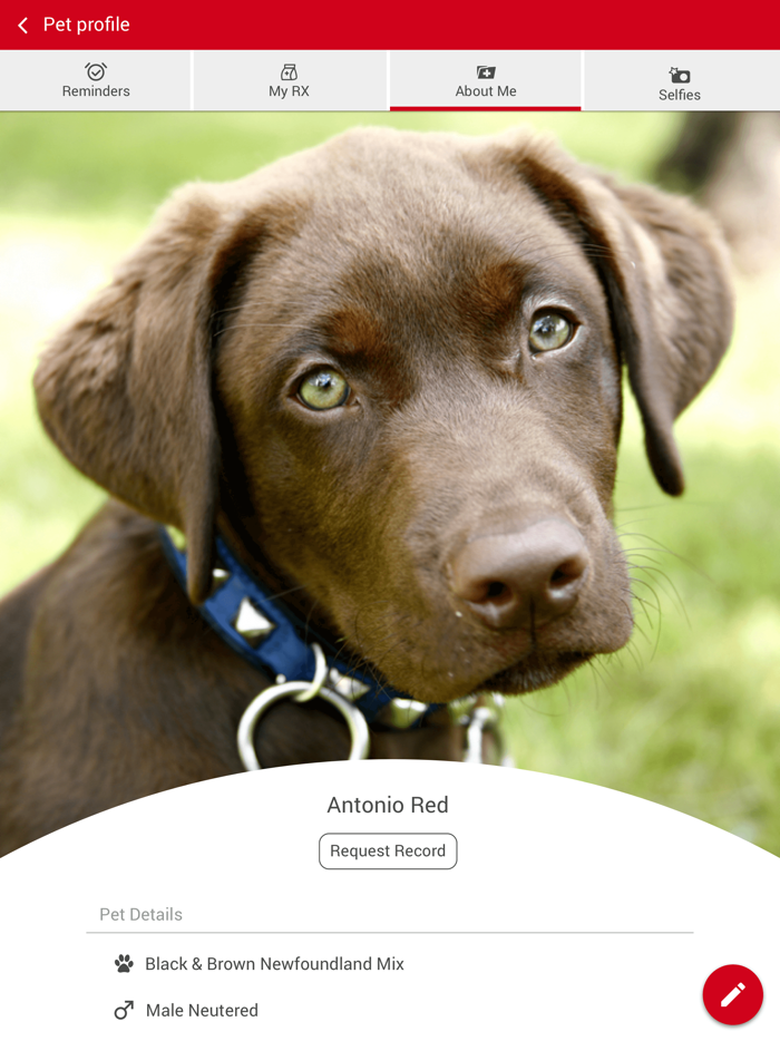 Upper Keys Veterinary Hospital