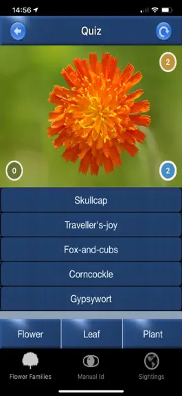 Game screenshot Wild Flower Id British Isles hack