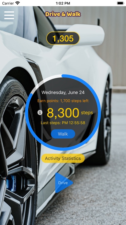 Drive & Walk screenshot-9