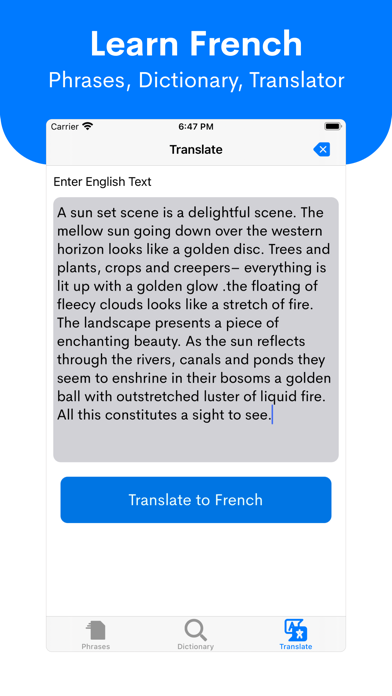 Learn French - Beginners screenshot 4