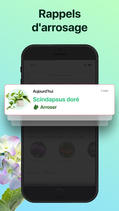 PictureThis:Identifier Plantes PictureThis:Identifier Plantes