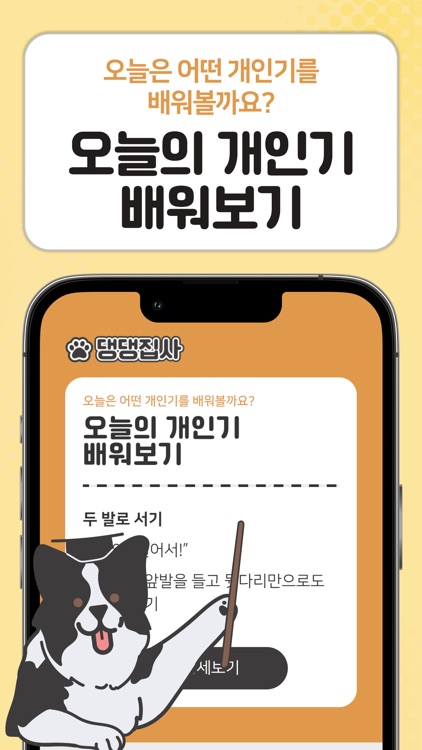댕댕집사