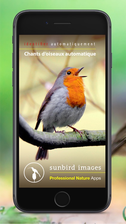 Chants d’oiseaux automatique