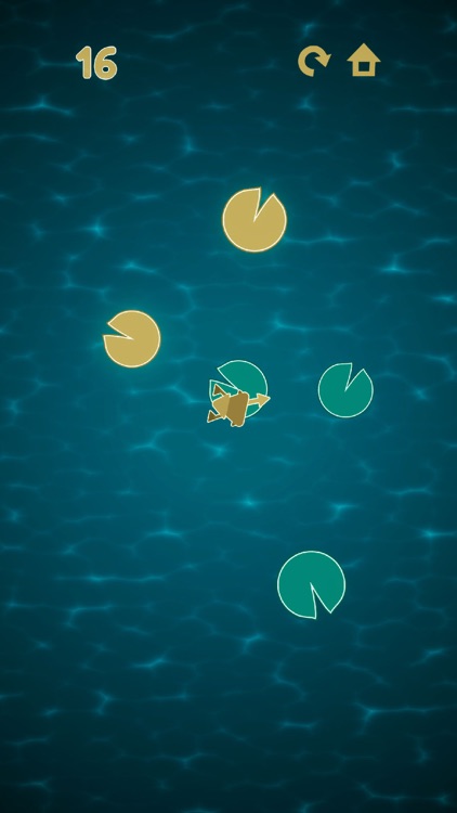 Dizzy Frog screenshot-6