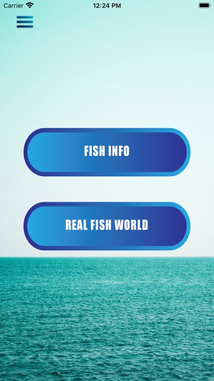 Fish Underwater World