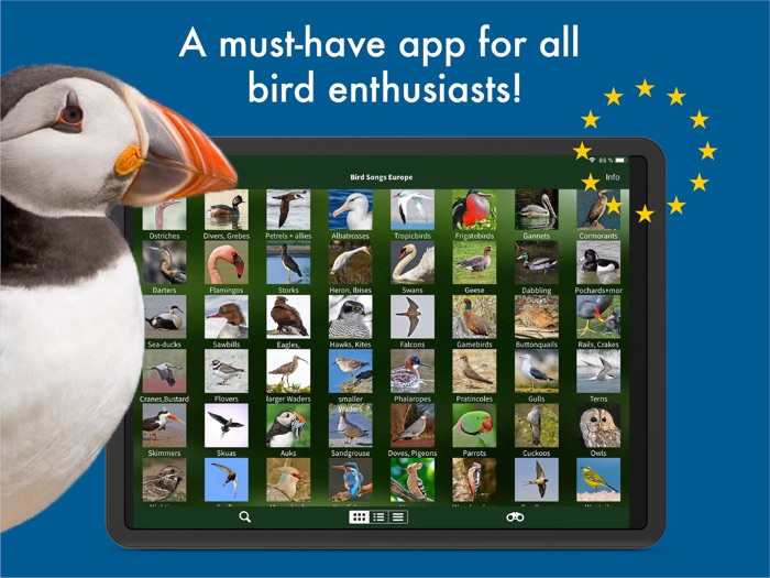 BIRD SONGS Europe North Africa