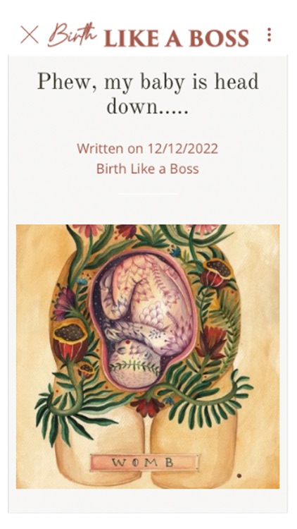 Birth like a Boss screenshot-5