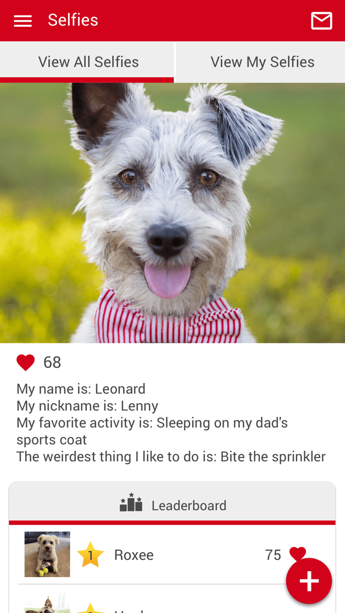 Upper Keys Veterinary Hospital