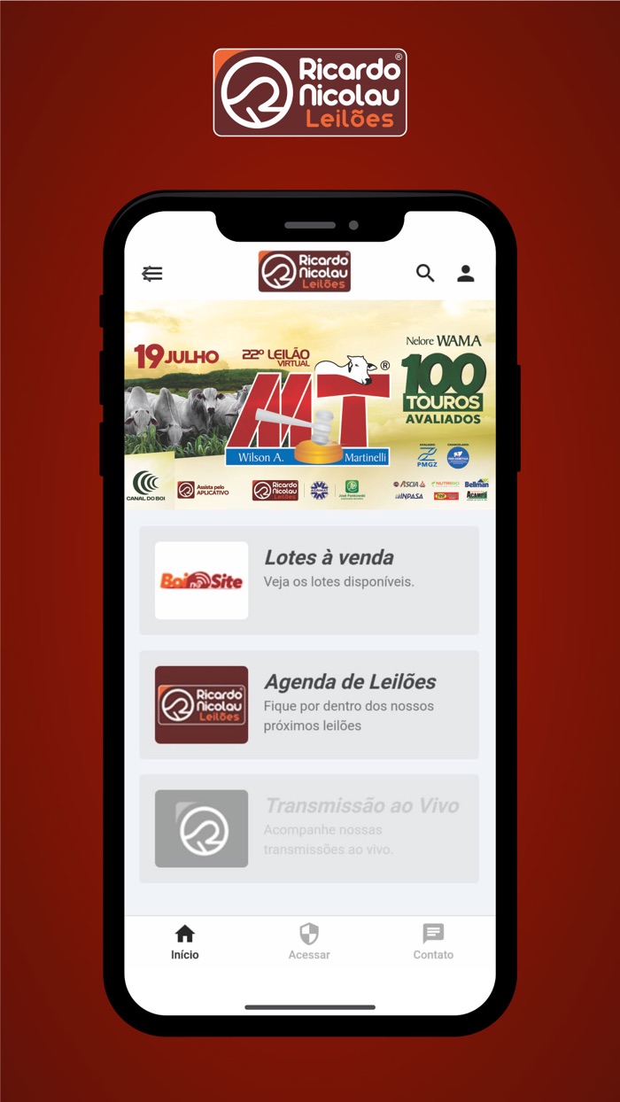 Ricardo Nicolau Leilões